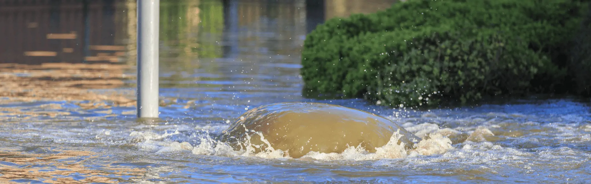 Water around a drain