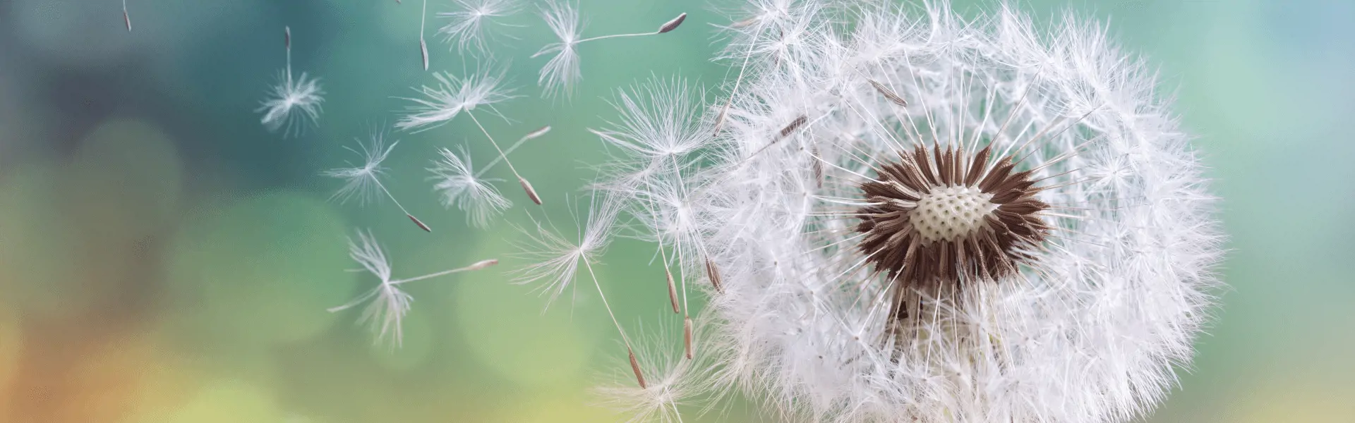 Driving Change Banner