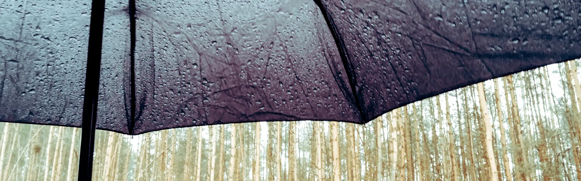 Flood Excess Insurance