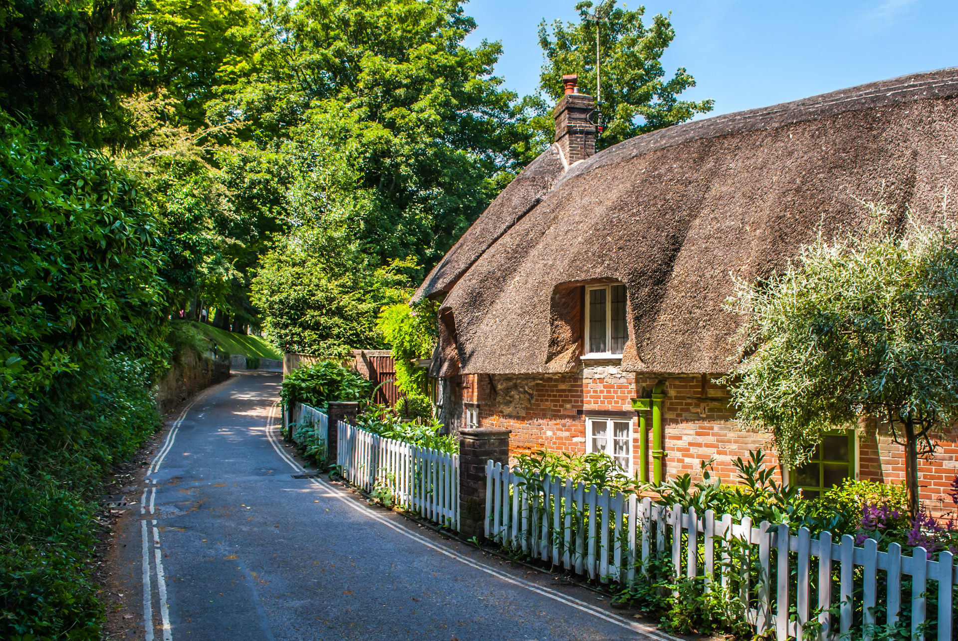 Thatched cottage beside a country lane